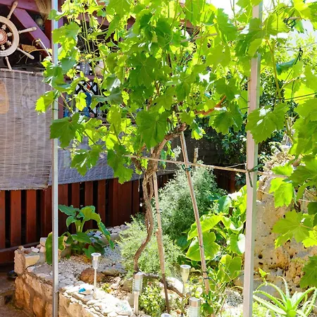 דירה With Swimming Pool - 25961